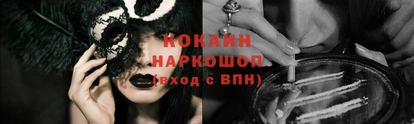 мет Няндома