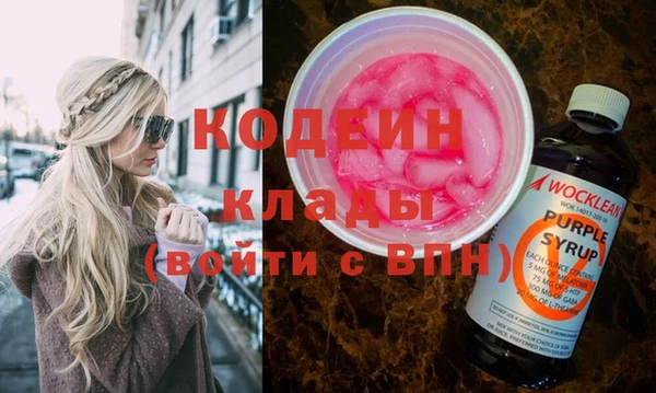 мет Няндома