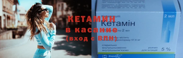 мет Няндома