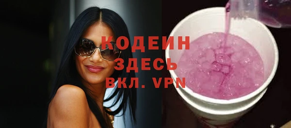 мет Няндома