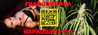 прущие крисы Азнакаево