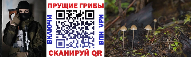 Галлюциногенные грибы мицелий  Кореновск 