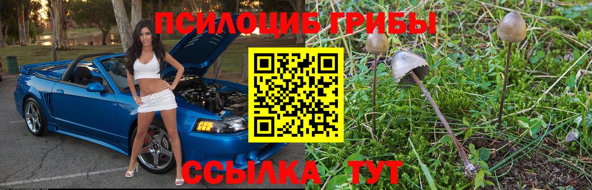 Кореновск  Галлюциногенные грибы Psilocybine cubensis  Вход с VPN  Галлюциногенные грибы мухоморы 
